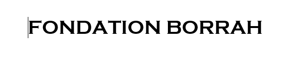 Logo fondation Borrah